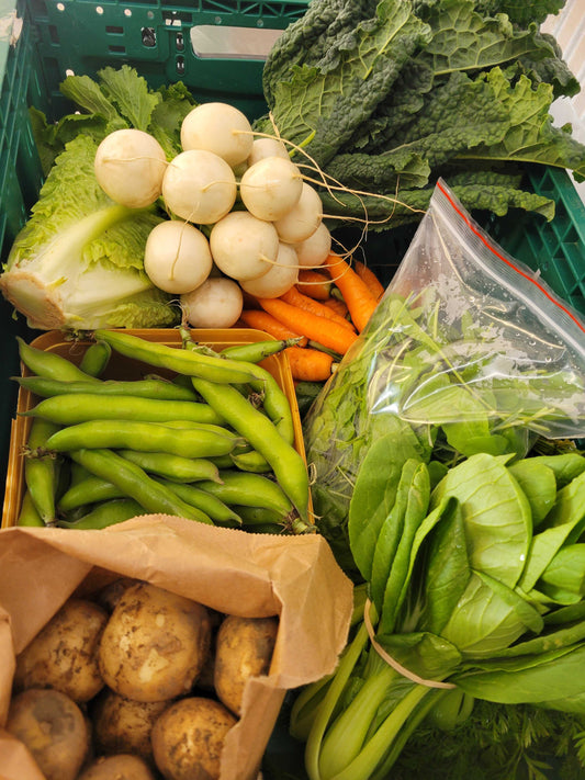 How to Pick the Freshest Organic Produce at Farmers Markets This Summer