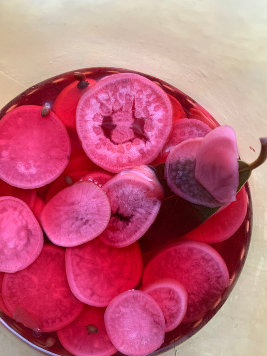 Pickled Radishes Golden and Pink