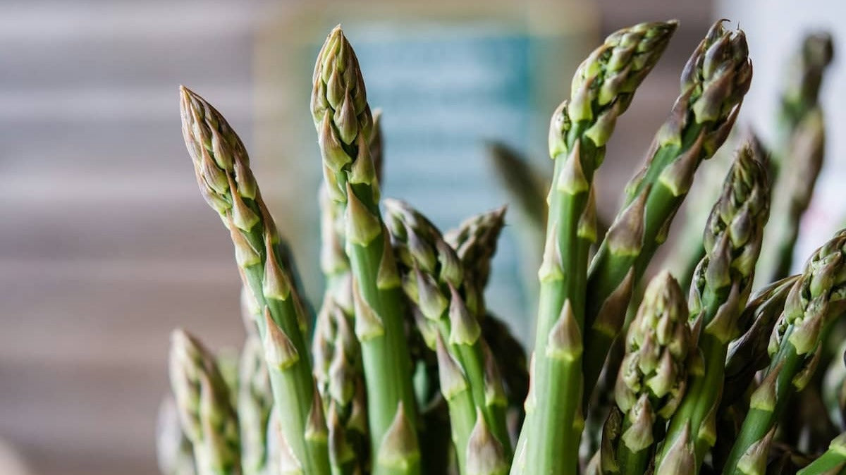 How to Keep Spring Asparagus Crisp and Flavorful Longer – Streamside ...