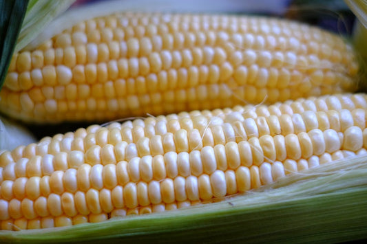 Sweet Sweet Corn - Streamside Organics