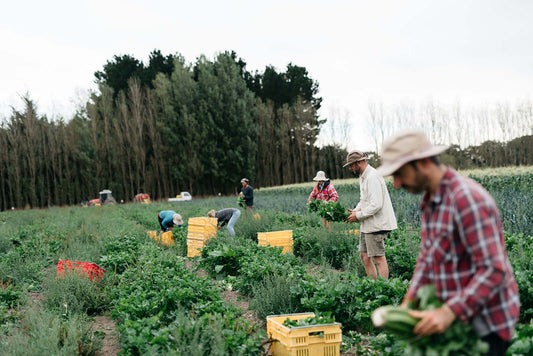 Beyond the Label: What “Organic” Really Means on Our Farm
