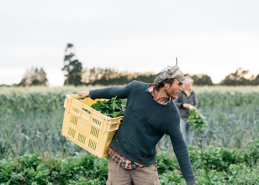 Logan - Streamside Organics