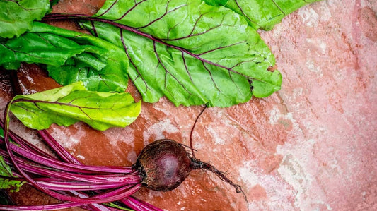 How to Use Every Part of Your Fresh Summer Veggies