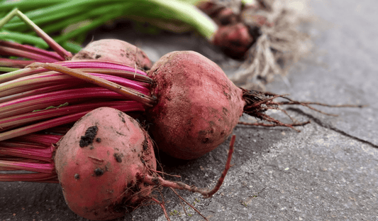 What's growing in July? A seasonal guide