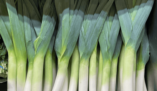 Slow Cooked Leek and Potato Soup