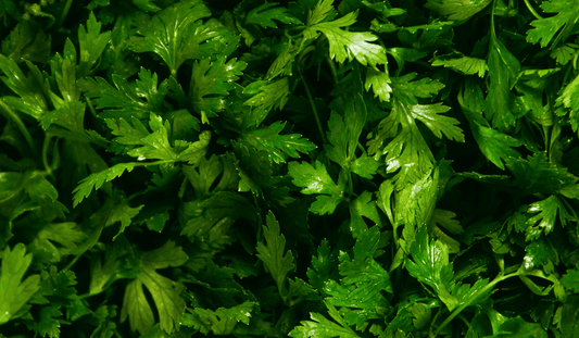The best herbs to pair with winter vegetables