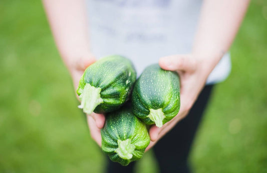 Your Essential Guide to Summer Courgettes