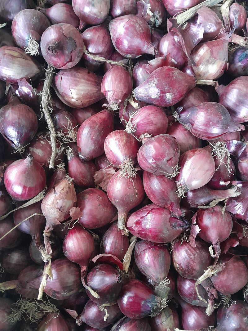 Pickling Onions - Red 1Kg
