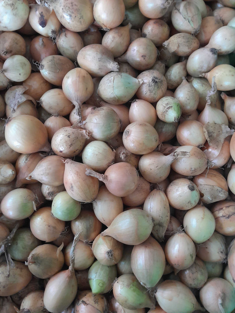 Pickling Onions - Brown 1kg