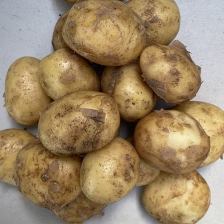 NEW Potatoes 500g