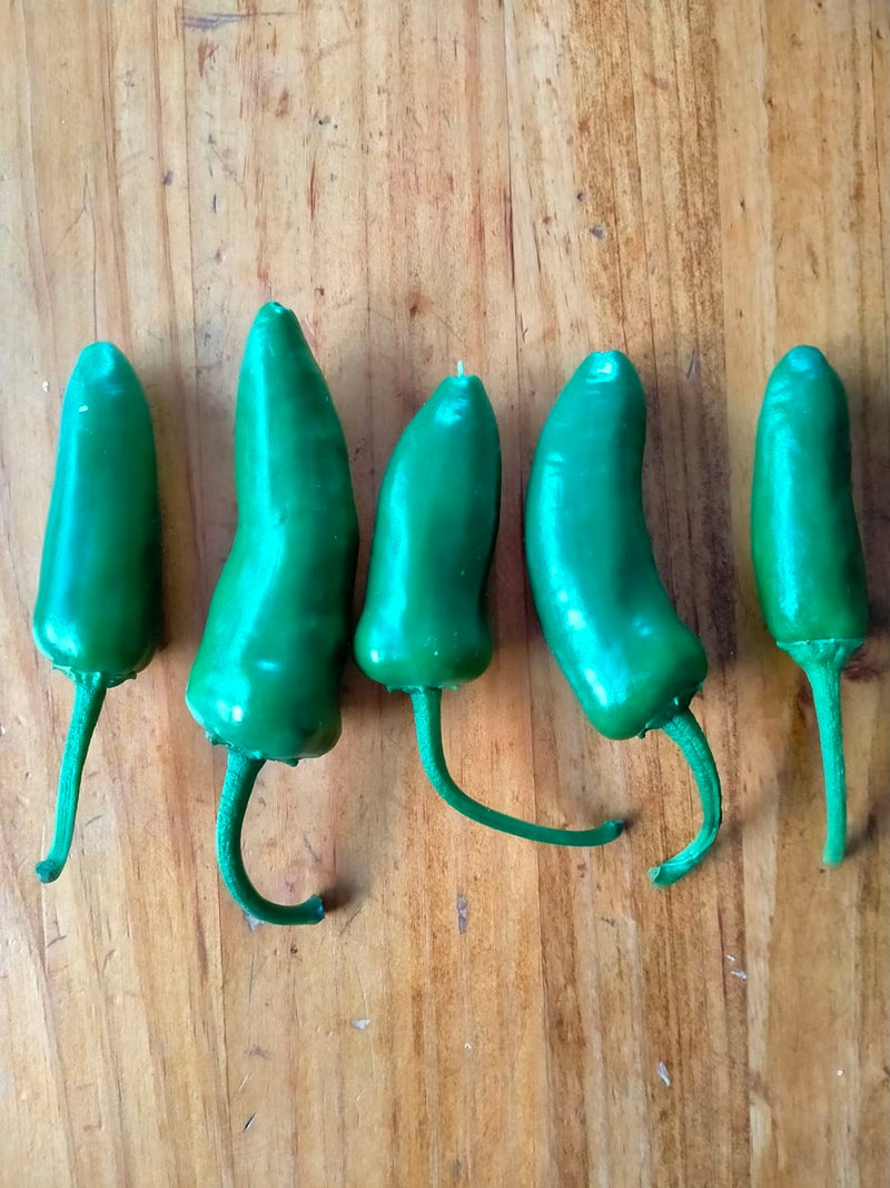 Jalapeno Peppers X5