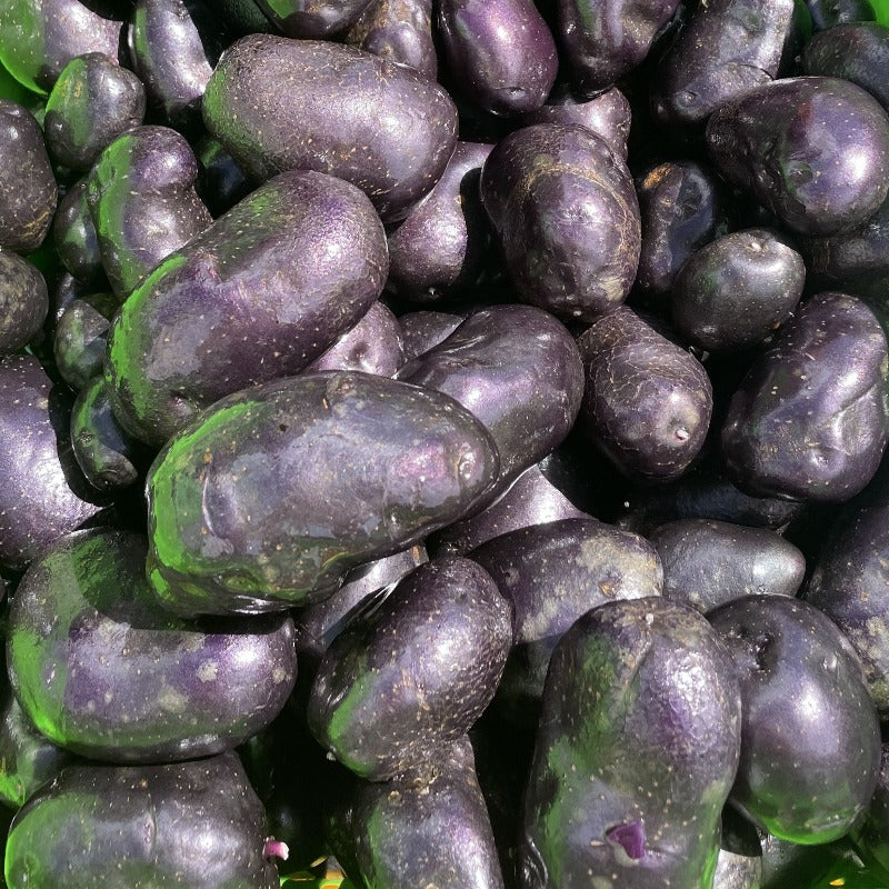 Potatoes Purple Heart 500g