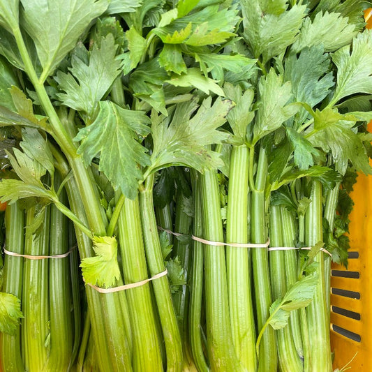 Celery JUICING 2kg