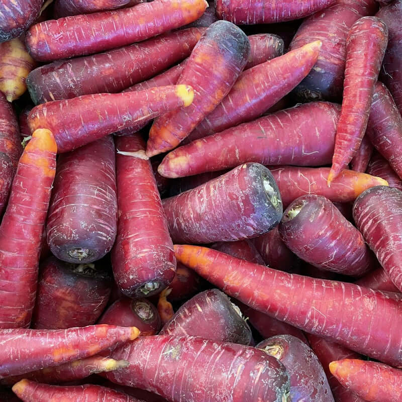 Carrots Purple Dragon 1kg