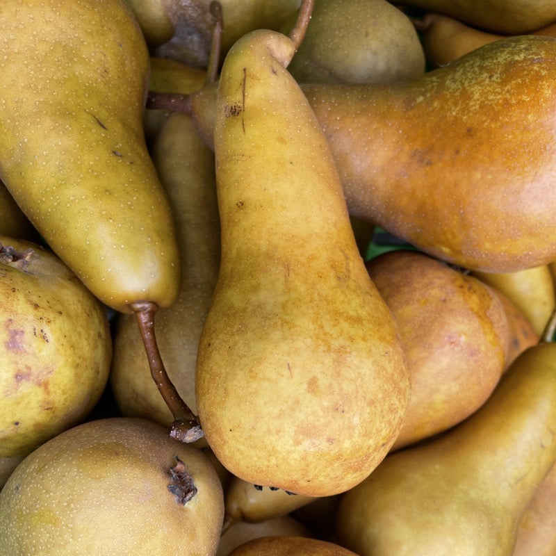 Pears Beurre Bosc 1Kg