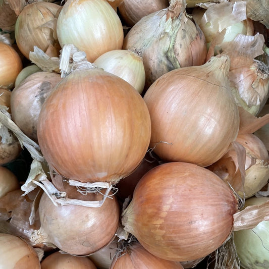 Onions Brown 500g