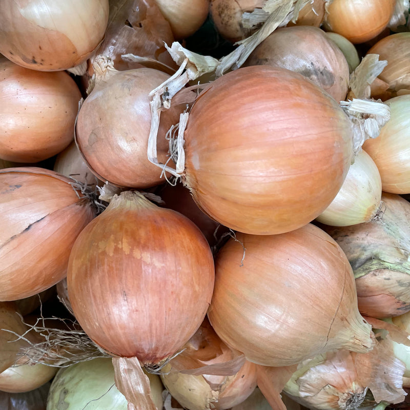 Onions Brown 4x