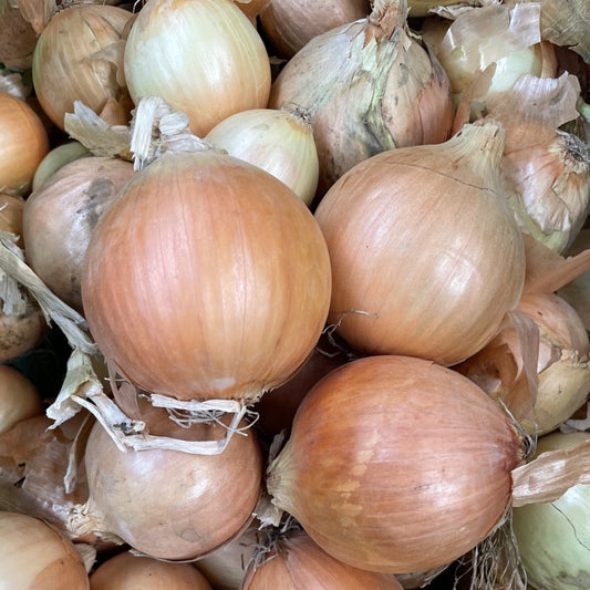 Onions Brown 2kg