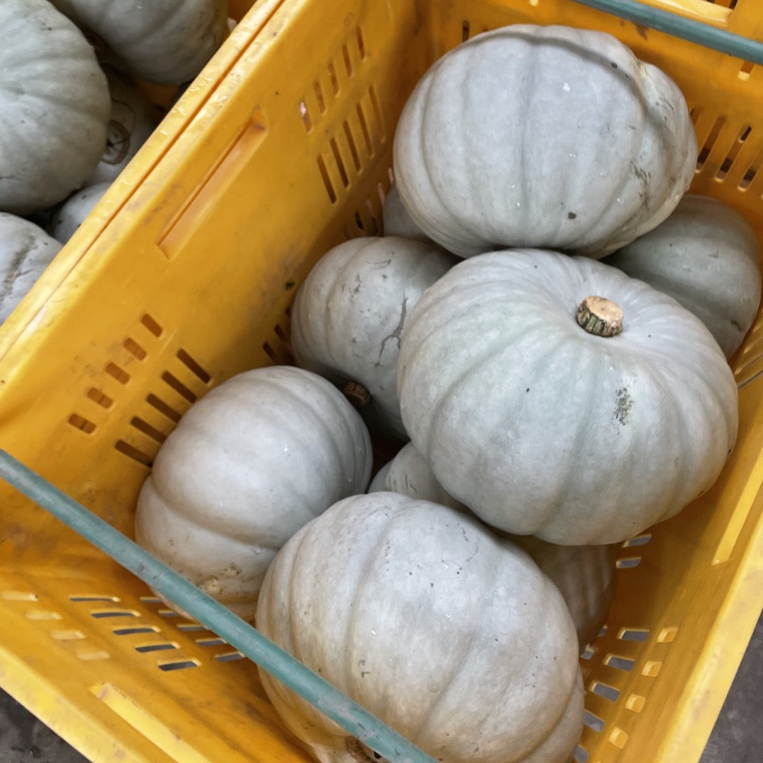 Pumpkin Crown 1.5kg