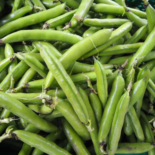 Broad Beans 650g