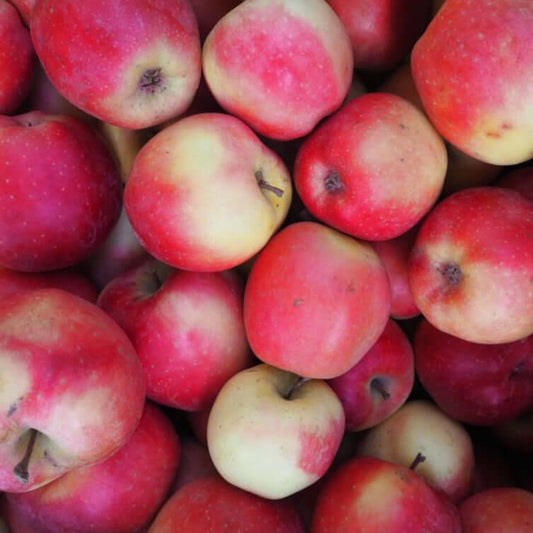 Apples NZ Beauty 1Kg