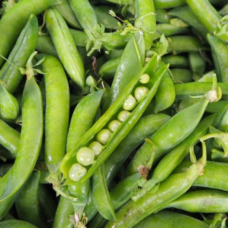 Podding Peas (garden peas) 800g