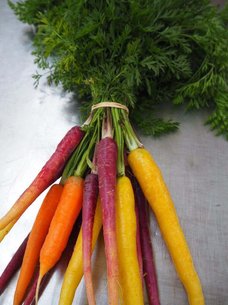 Carrots Coloured Bunch