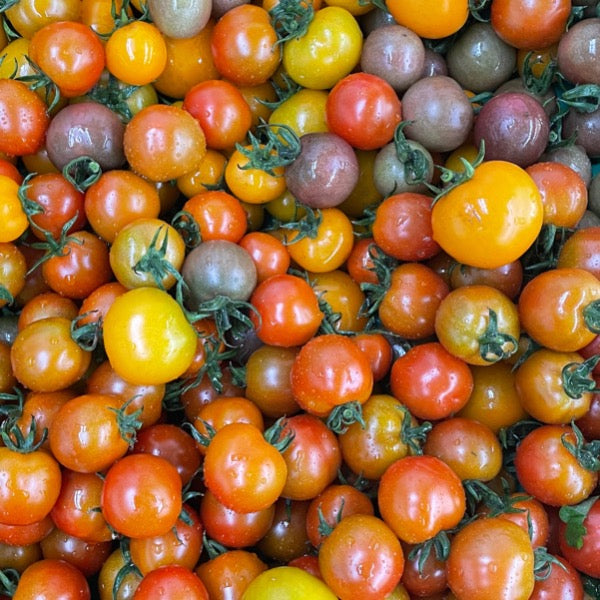 Tomatoes Cherry Mix Colour 350g