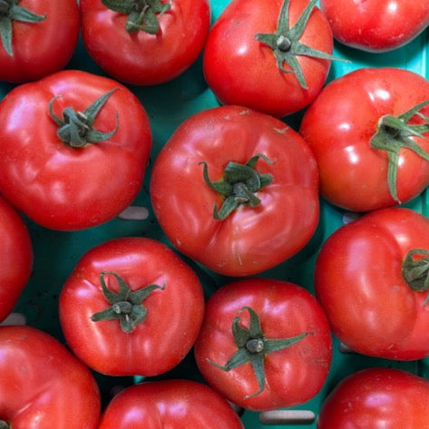 Tomatoes Medium Red 1kg