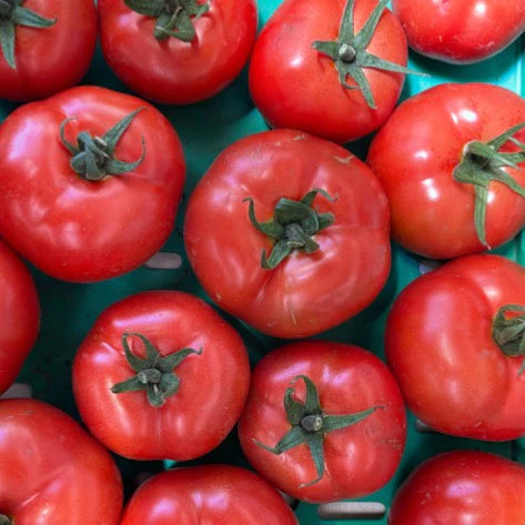 Tomatoes Medium Red 500g