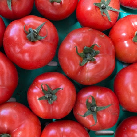 Tomatoes Medium Red 3kg