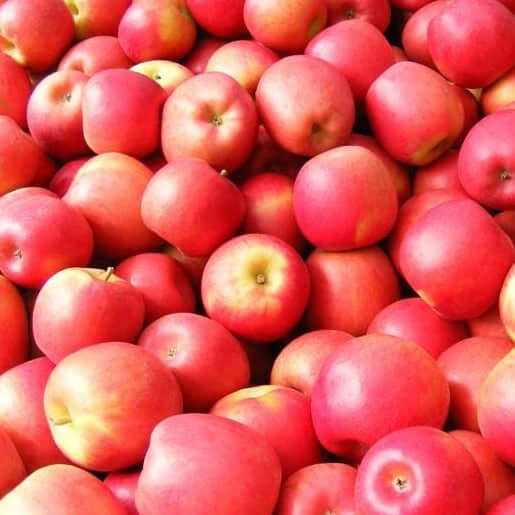 Apples Jazz 1kg