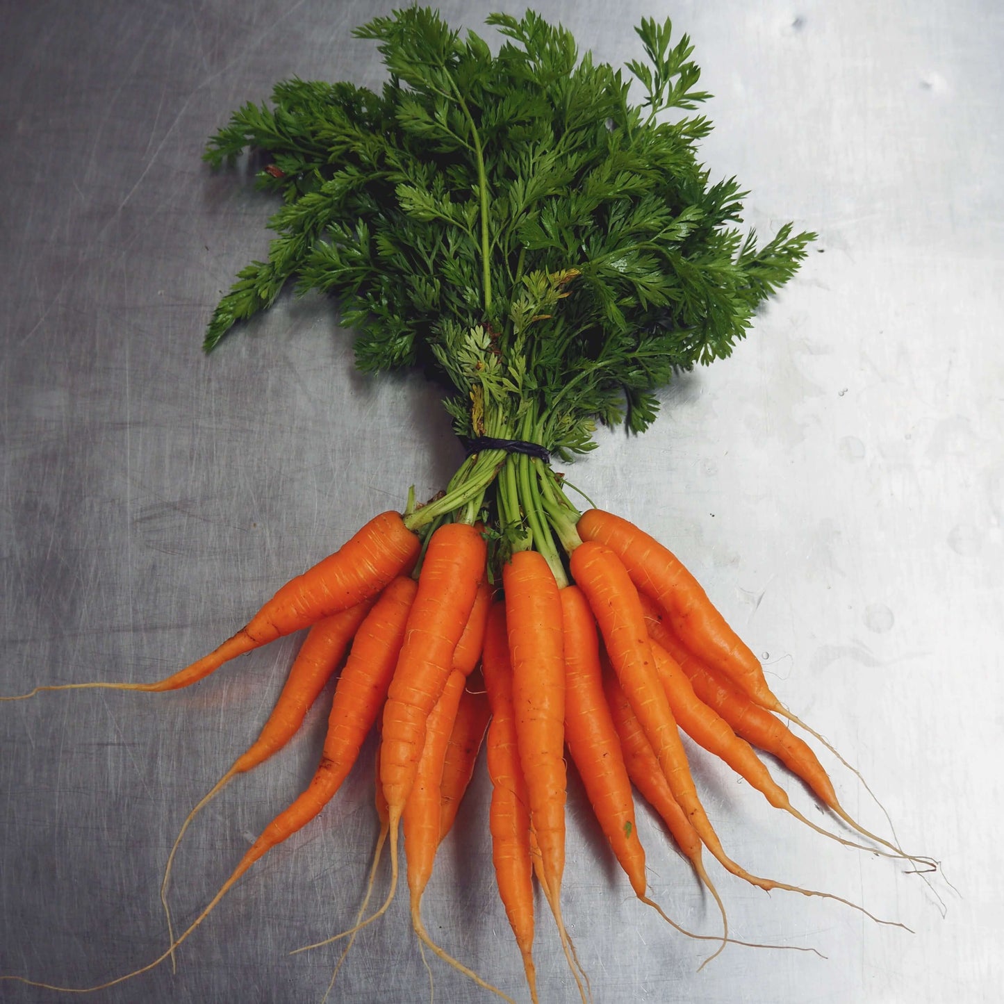 Carrot Bunch x2