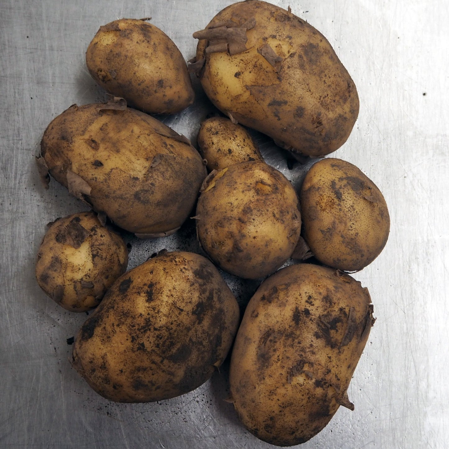 Potatoes Swift 1kg